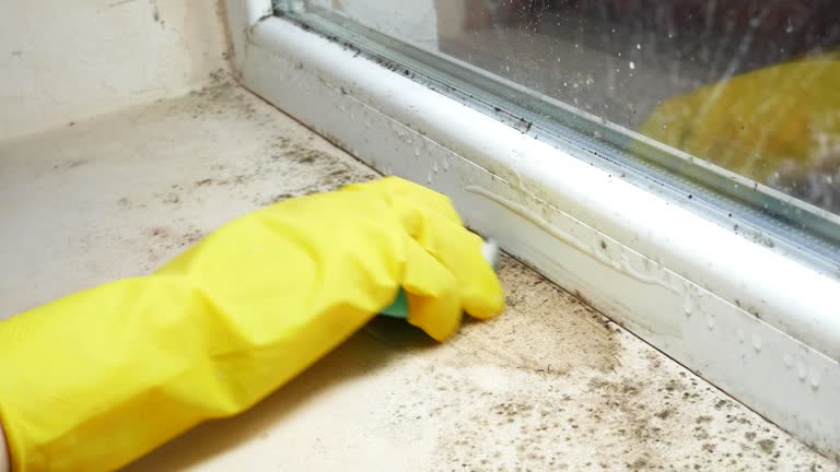 Best Emergency Mold Remediation  in Swedesboro, NJ